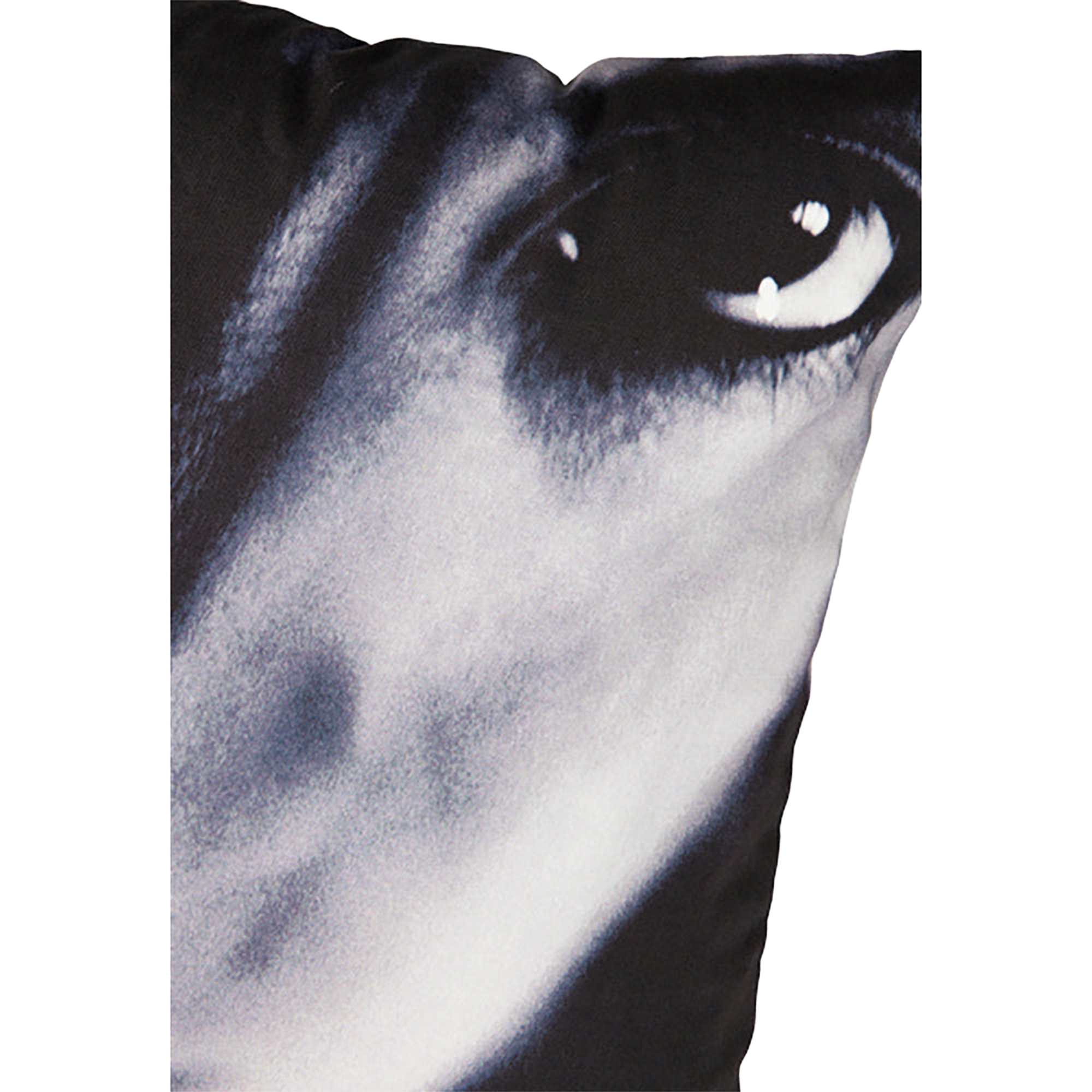 VINYL "SUGIZO" CUSHION TRUTH?