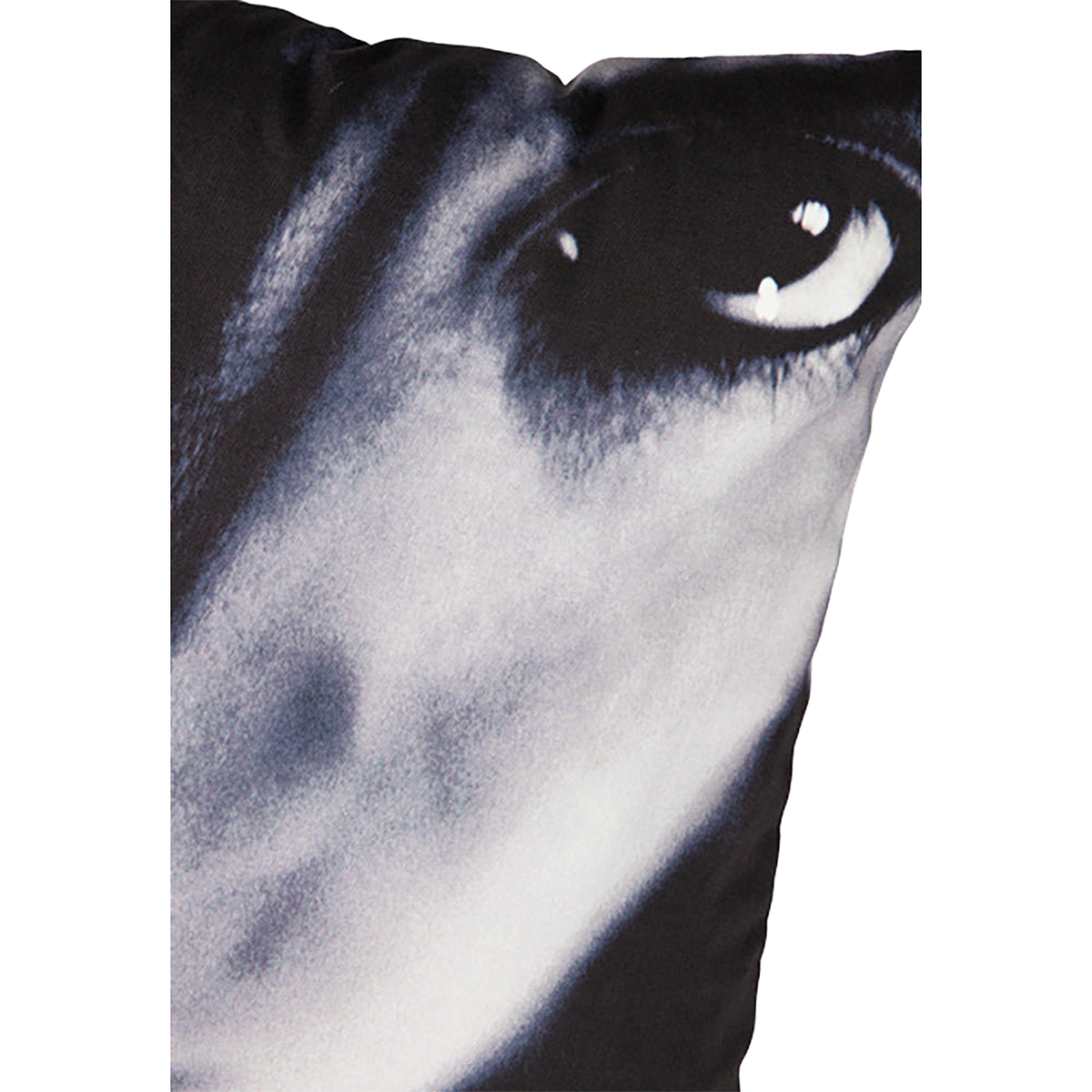 VINYL "SUGIZO" CUSHION TRUTH?