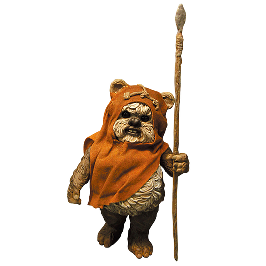 VCD WICKET(TM)