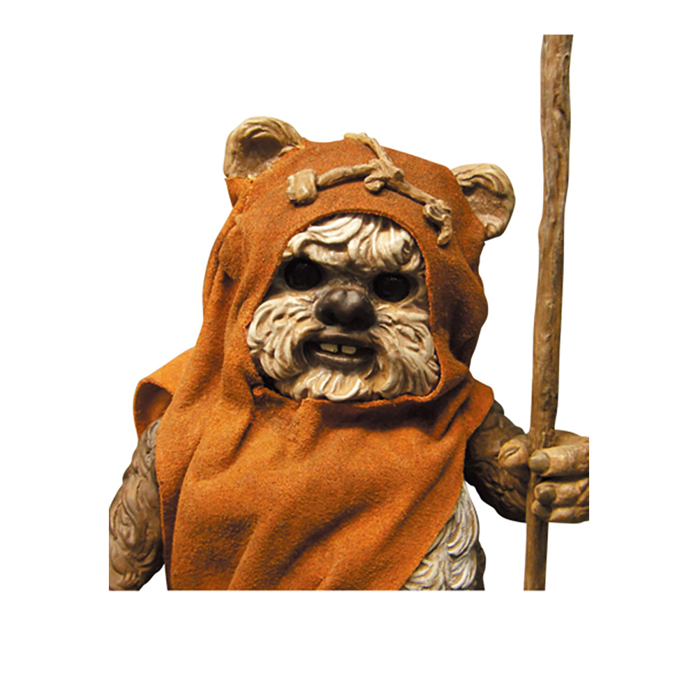 VCD WICKET(TM)_2