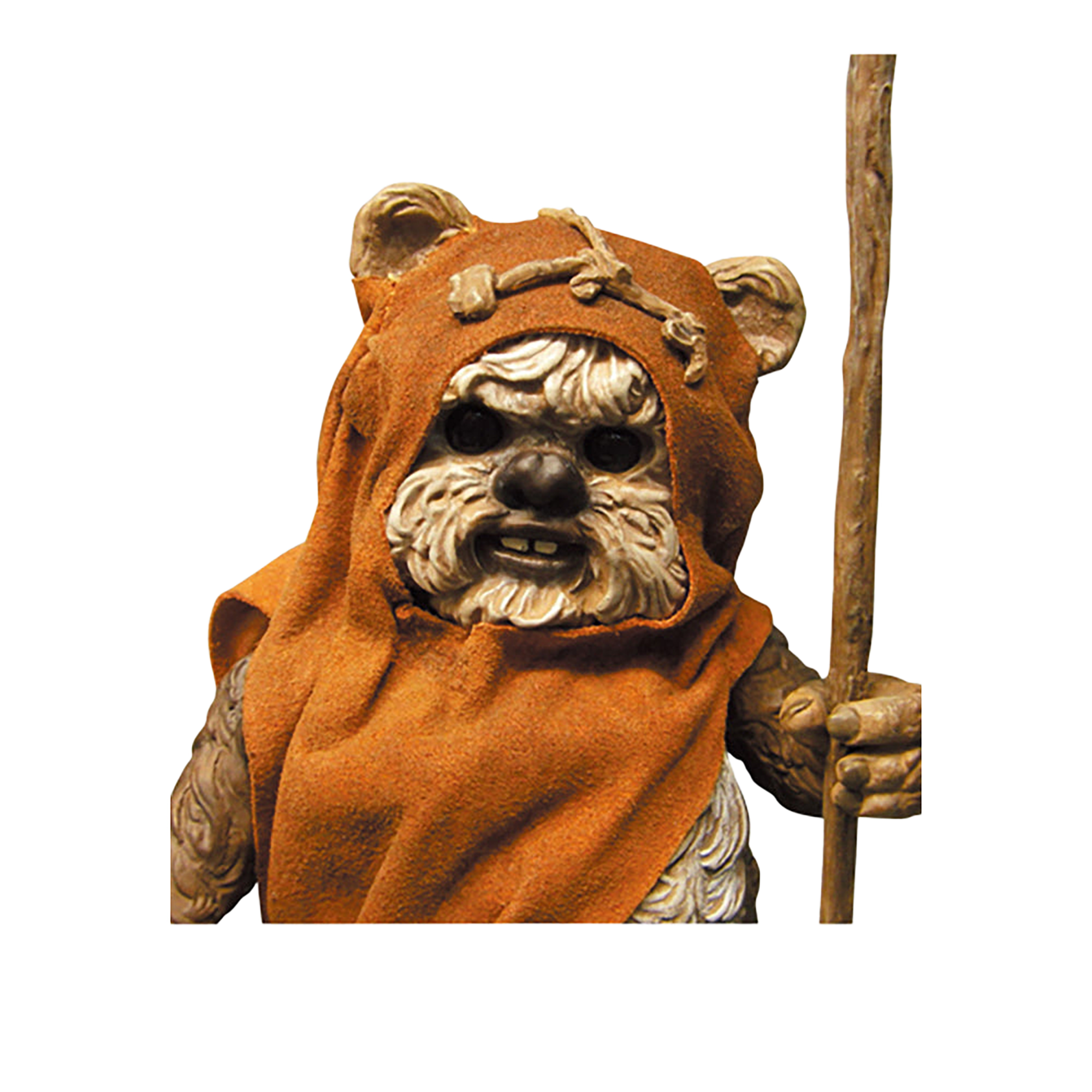 VCD WICKET(TM)