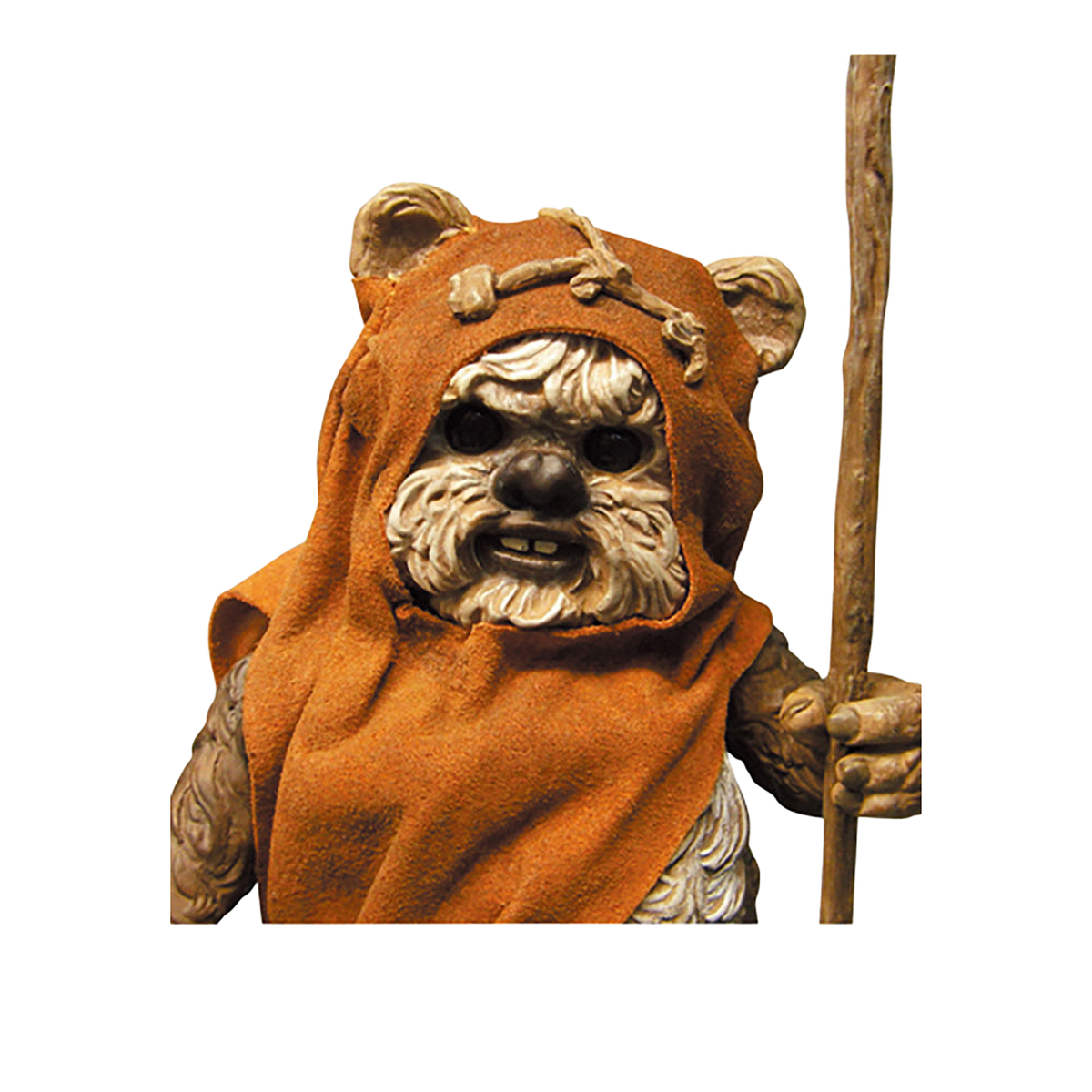 VCD WICKET(TM)