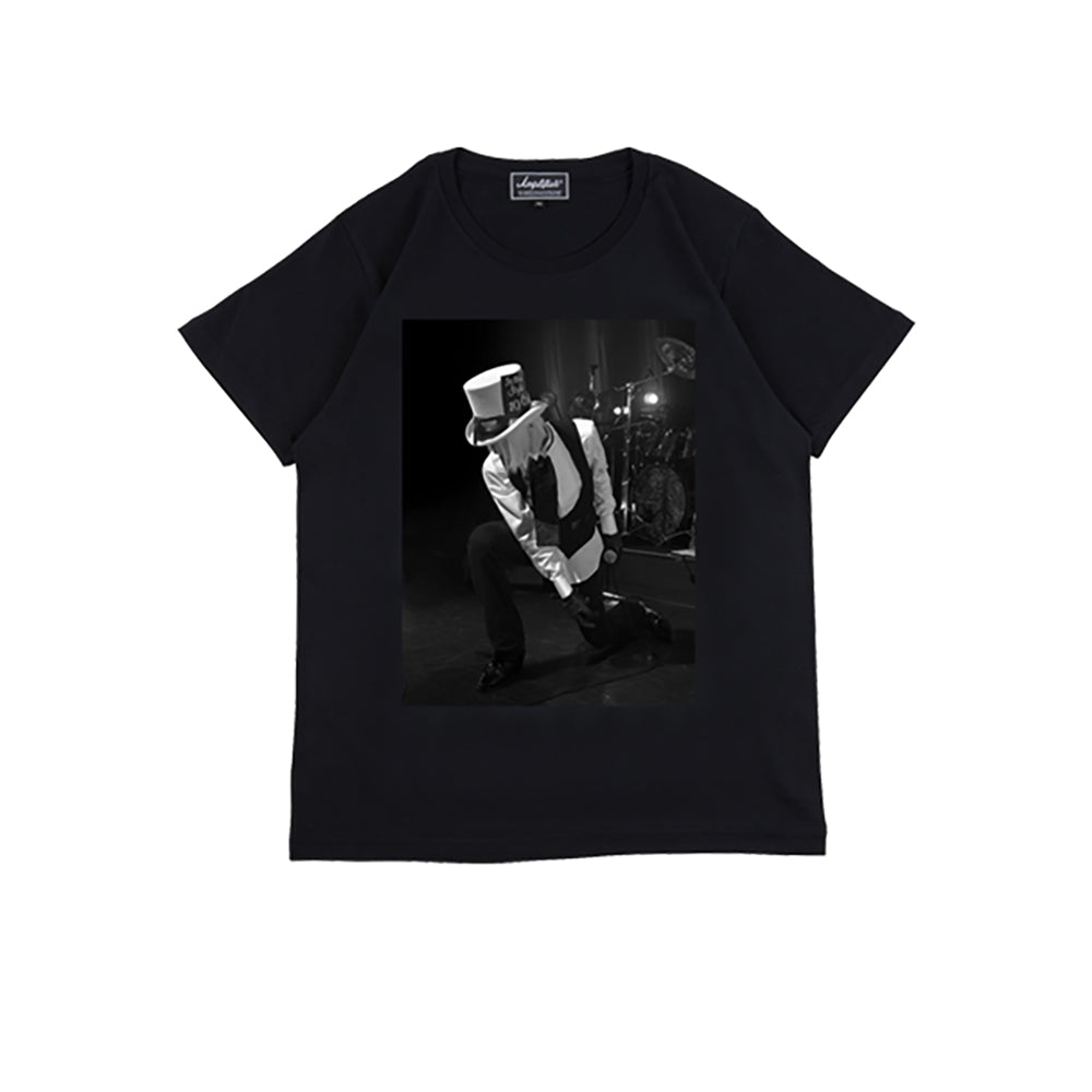 Amplifier “The Willard” TEE design B_3